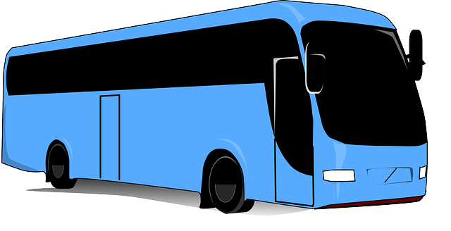 cartoon bus