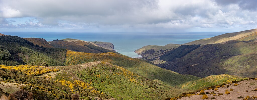 Hinewai_Reserve