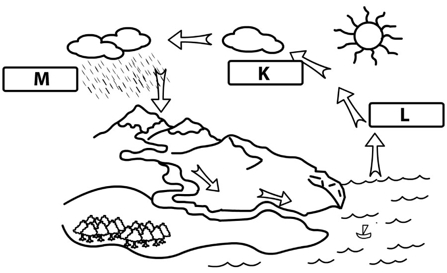 water cycle