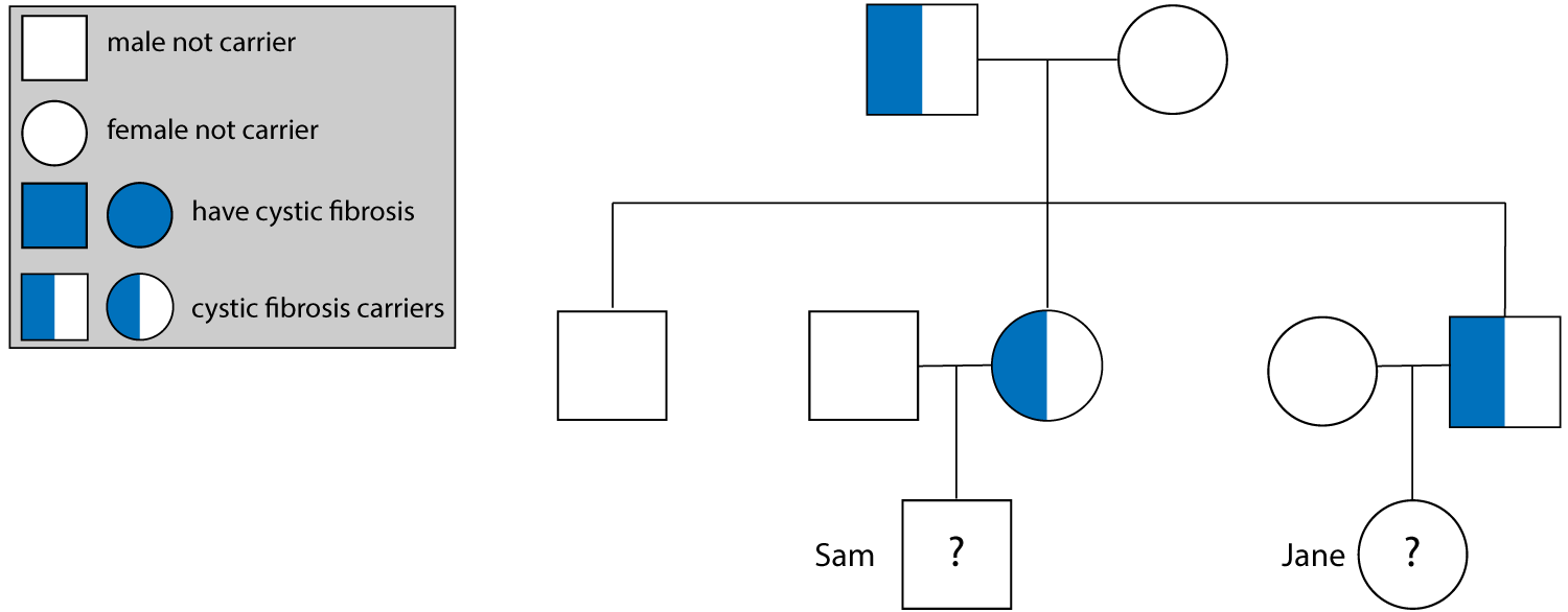 Family tree cycstic fibrosis