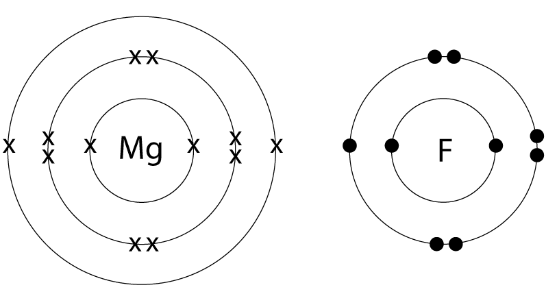 Dot and cross diagram, magnesium and fluorine