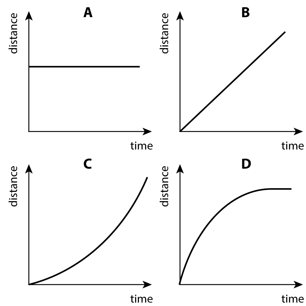 s-t graphs x4